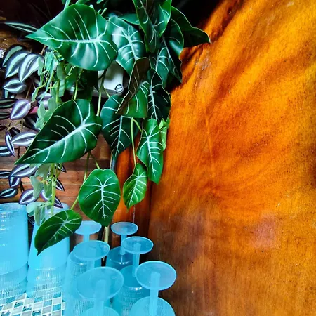 Voilier Confortable En Bois A Cotes Des Plages Et Ferries * 乌伊斯特勒昂