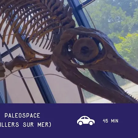 Voilier Confortable En Bois A Cotes Des Plages Et Ferries * Ouistreham