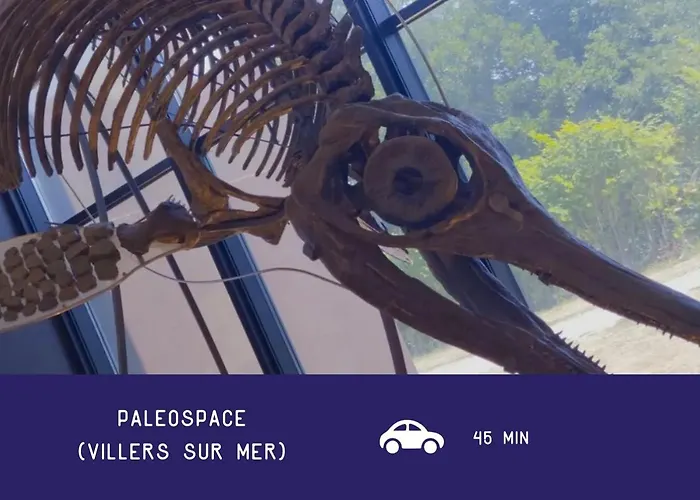 Voilier Confortable En Bois A Cotes Des Plages Et Ferries * Ouistreham